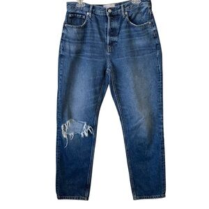 EVERLANE HIGH RISE BUTTON FLY CHEEKY JEANS SZ 10 REG